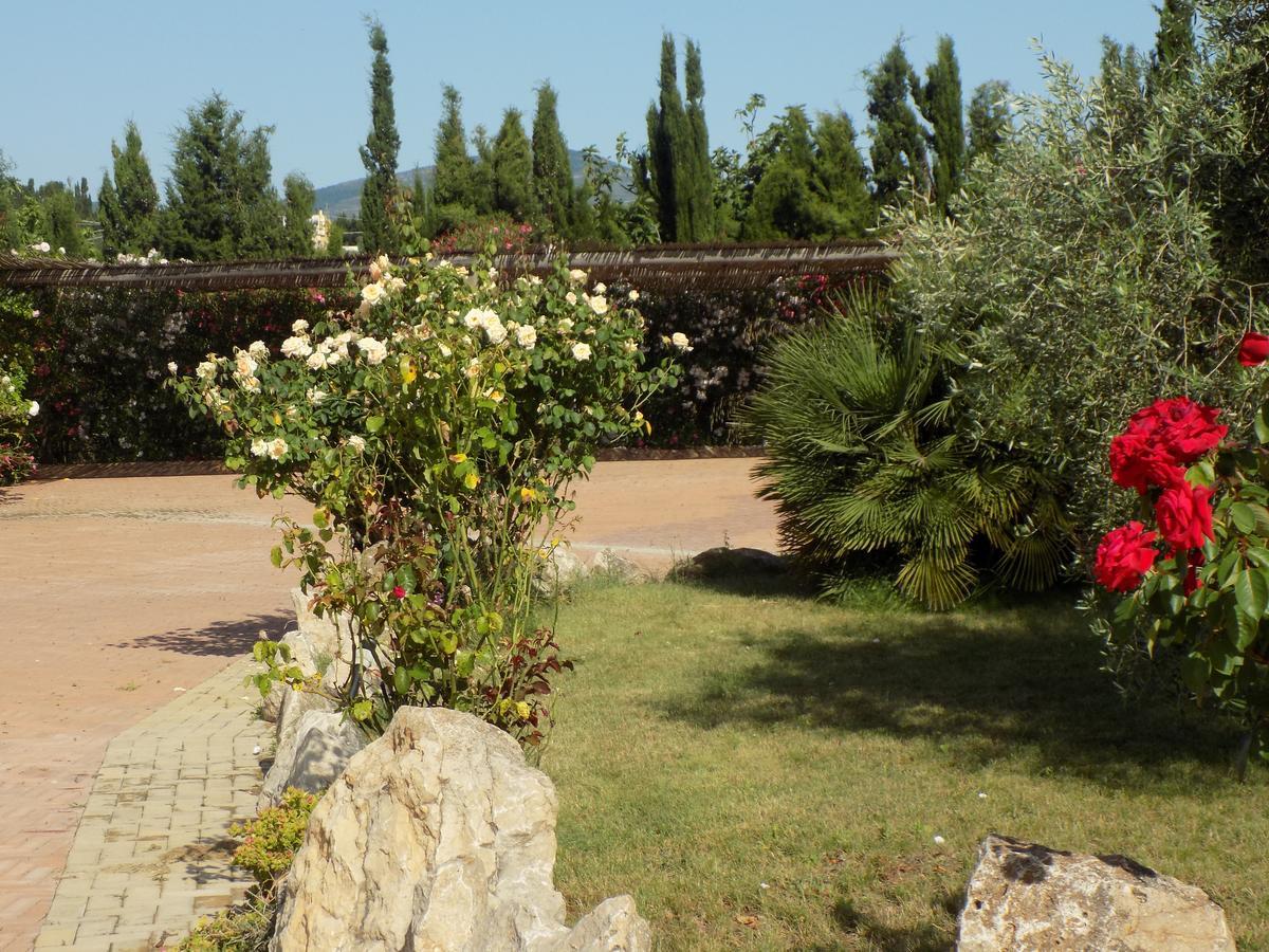 Villa Sorrentina Alghero Bagian luar foto